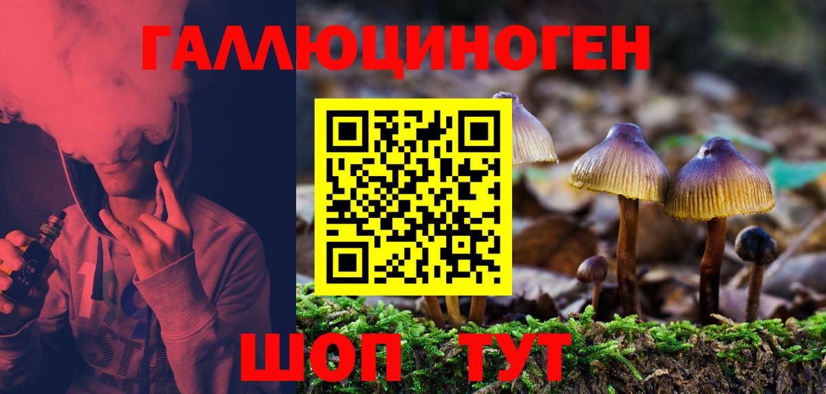 Бахчисарай  Псилоцибиновые грибы мицелий  Вход с VPN 