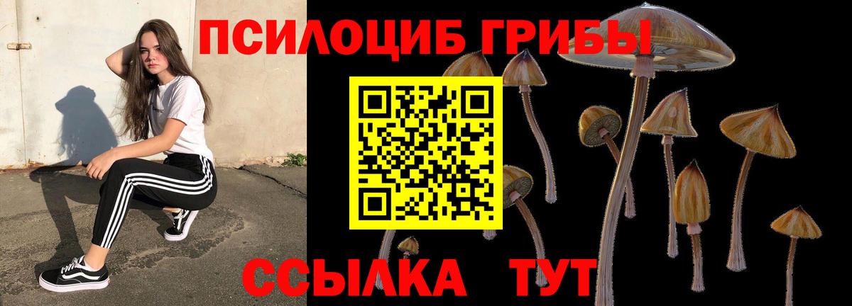 Галлюциногенные грибы мухоморы Бахчисарай